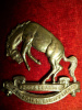 C39 - 14th Canadian Light Horse Cap Badge